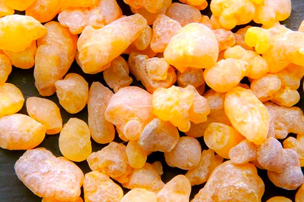 کندر را بجویم یا قورت دهیم ، روغن کندر