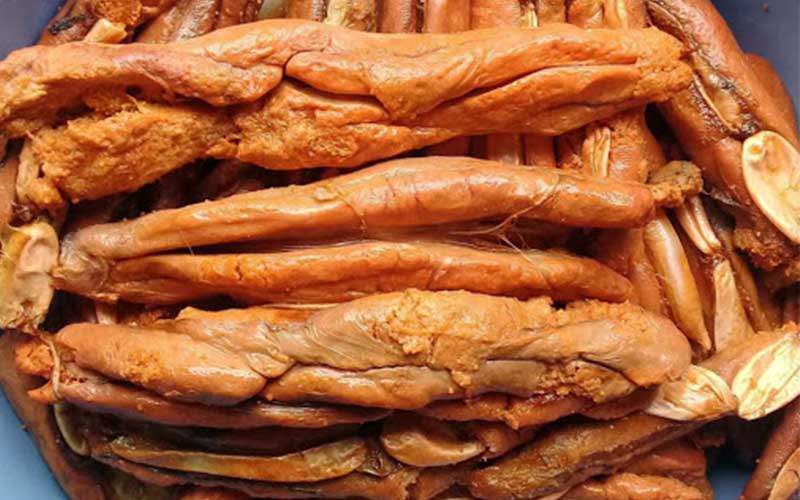 طرز نگهداری اشپل ماهی