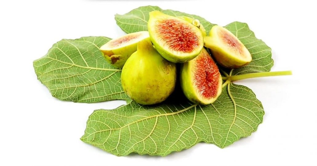 خواص برگ انجیر برای درمان بیماری