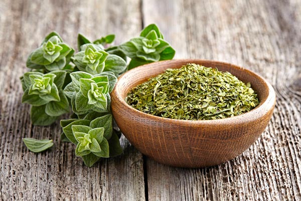 نام دیگر ارگانو