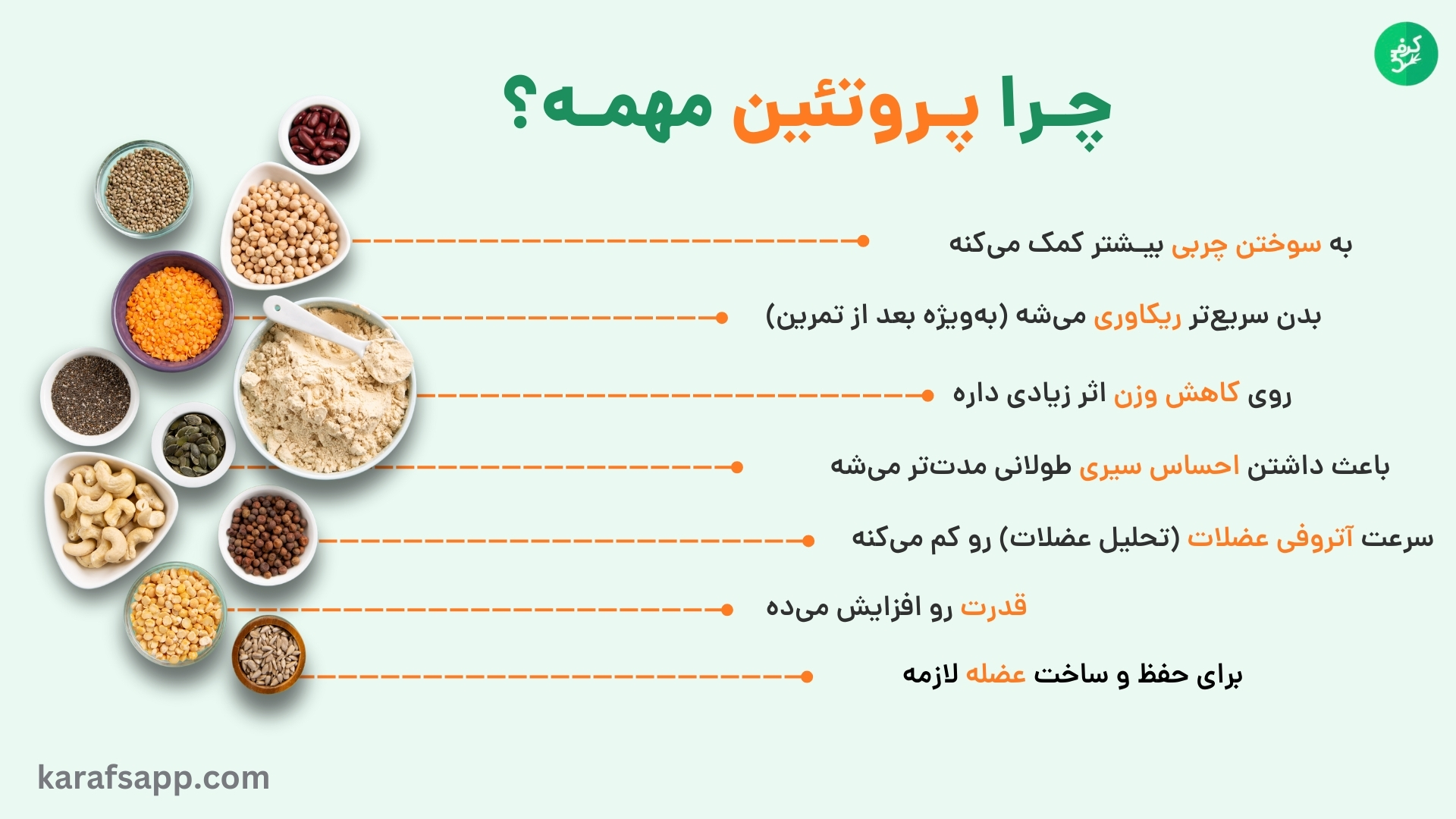 اهمیت پروتئین