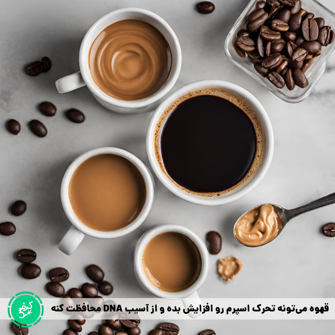 نوشیدن قهوه باعث تحرگ اسپرم می‌شه