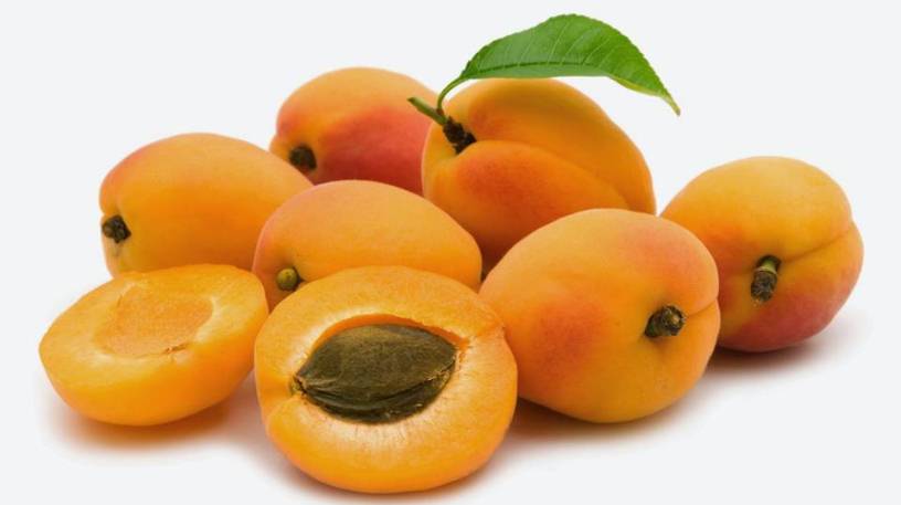 مضرات هسته زردآلو | آیا مغز هسته زردآلو را بخوریم؟